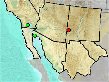 Regional Pleistocene distribution of Stockoceros sp.