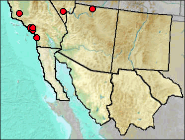 Regional Pleistocene distribution of Aythya affinis