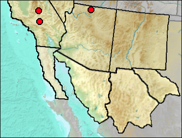 Regional Pleistocene distribution of Aythya sp.