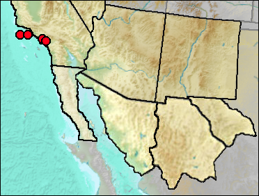 Regional Pleistocene distribution of Chendytes lawi