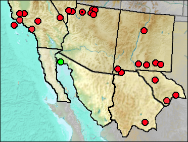 Regional Pleistocene distribution of Gymnogyps/amplus/californianus
