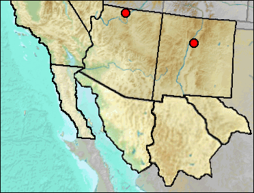 Regional Pleistocene distribution of Lophodytes cucullatus