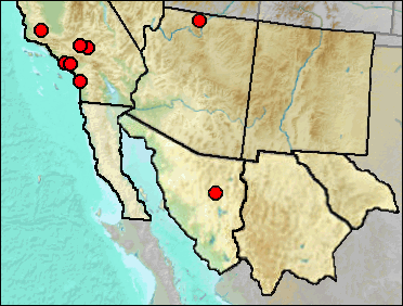 Regional Pleistocene distribution of Oxyurus jamaicensis