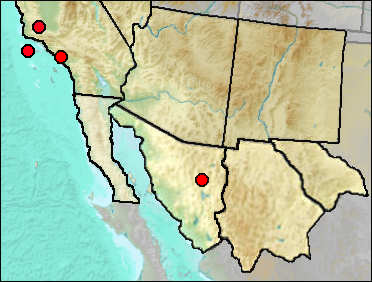 Distribution of regional fossil Plegadis chihi