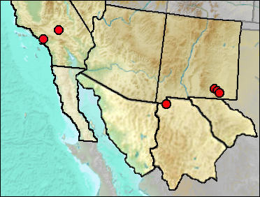 Pleistocene regional distribution of Xanthocephalus xanthocephalus