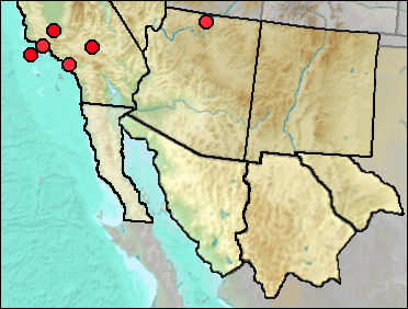 Regional Pleistocene distribution of Zonotrichia leucophrys