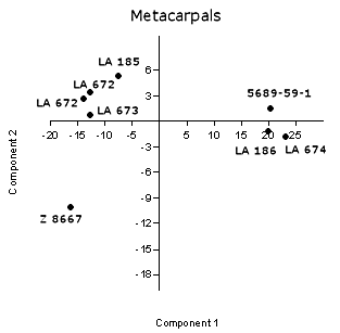 Principal components diagram of antilocaprid metacarpals