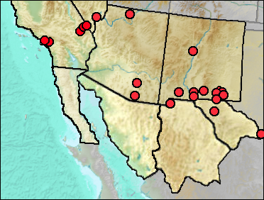 Regional Pleistocene distribution of Bassariscus astutus