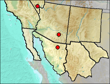 Regional Pleistocene distribution of Callisaurus draconoides