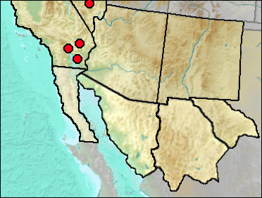 Regional Pleistocene distribution of Dipodomys deserti.