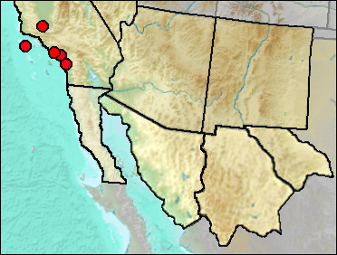 Regional Pleistocene distribution of Elgaria multicsrinata
