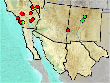 Pleistocene distribution of Equus sp., Small