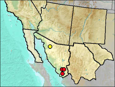 Regional Pleistocene distribution of Glyptotherium sp.