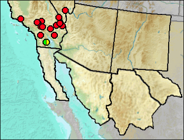 Regional Pleistocene distribution of Gopherus agassizii