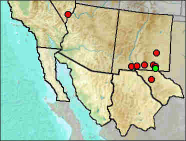 Regional Pleistocene distribution of Gopherus morafkai