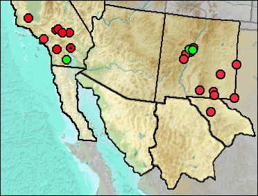 Regional Pleistocene distribution of Hemiauchenia macrocephala