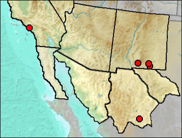 Pleistocene distribution of Lasiurus cinereus.