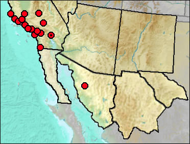 Pleistocene distribution of Mammut sp.