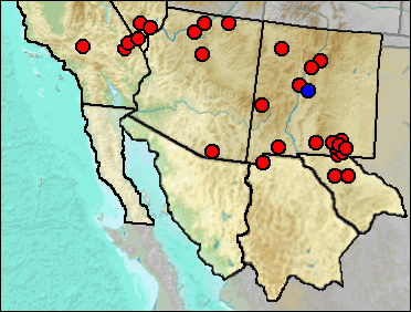 Regional Pleistocene distribution of Marmota flaviventris