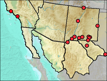 Regional Pleistocene distribution of Mephitis mephitis