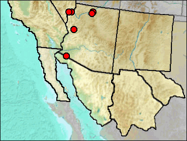 Regional Pleistocene distribution of Neotoma devia/lepida