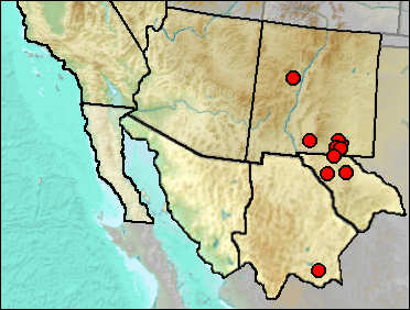 Pleistocene distribution of Neotoma micropus.
