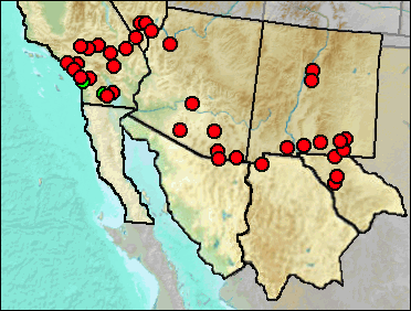 Regional Pleistocene distribution of Nothrotheriops shastensis.