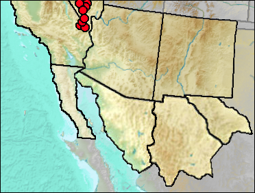 Regional Pleistocene distribution of Ochotona princeps