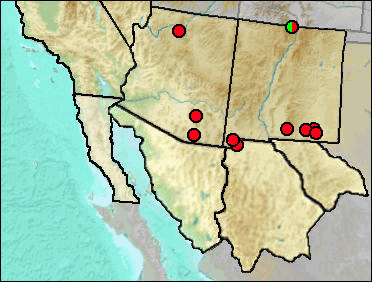 Pleistocene distribution of Phrynosoma hernandesi