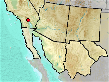 Distribution of regional Pleistocene Pituophis sp.