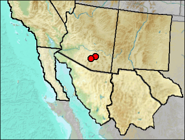 Regional distribution of Pleistocene Rena humilis