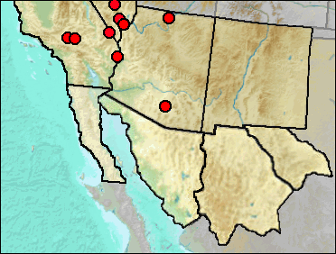 Pleistocene distribution of Sauromalus ater