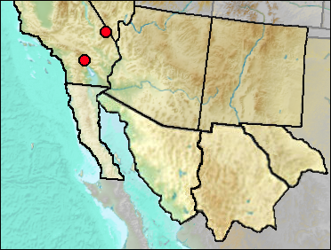 Pleistocene distribution of Sauromalus sp