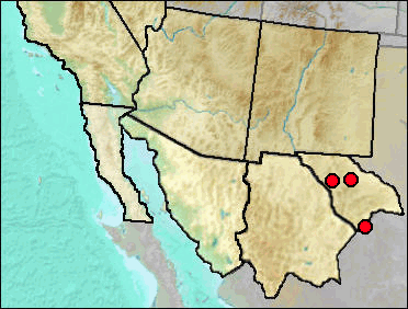 Regional Pleistocene distribution of Sylvilagus robustus.