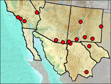 Regional Pleistocene distribution of Ursus americanus