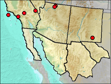 Regional Pleistocene distribution of Aechmophorus occidentalis