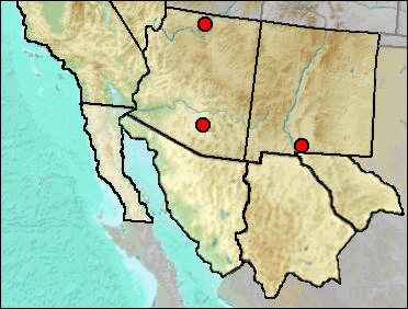 Pleistocene regional distribution of Aeronautes saxatalis
