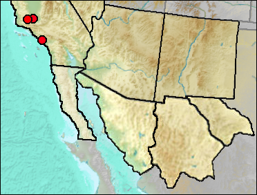 Pleistocene regional distribution of Calidris alpina