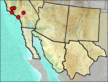 Regional Pleistocene distribution of Ciconia maltha