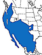 Modern distribution of Antrozous pallidus