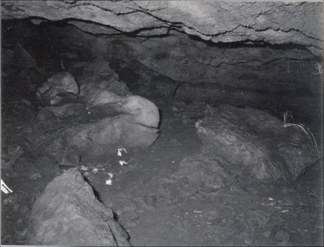 Upper portion of Camel Room, Dry Cave