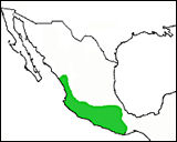 Current distribution of Sylvilagus cunicularius