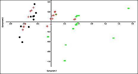 Principal components plot of modern Peromyscus boylii and Peromyscus pectoralis jaw characters showing position of fossil Peromyscus boylii