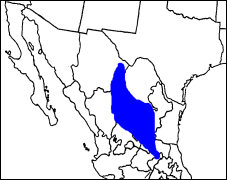 Current distribution of Neotoma goldmani