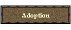 Adoption