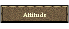 Attitude