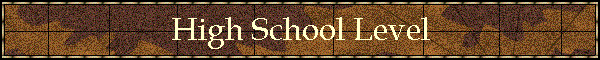 High School Level