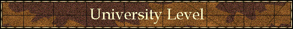 University Level