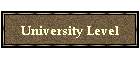 University Level