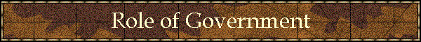 Role of Government